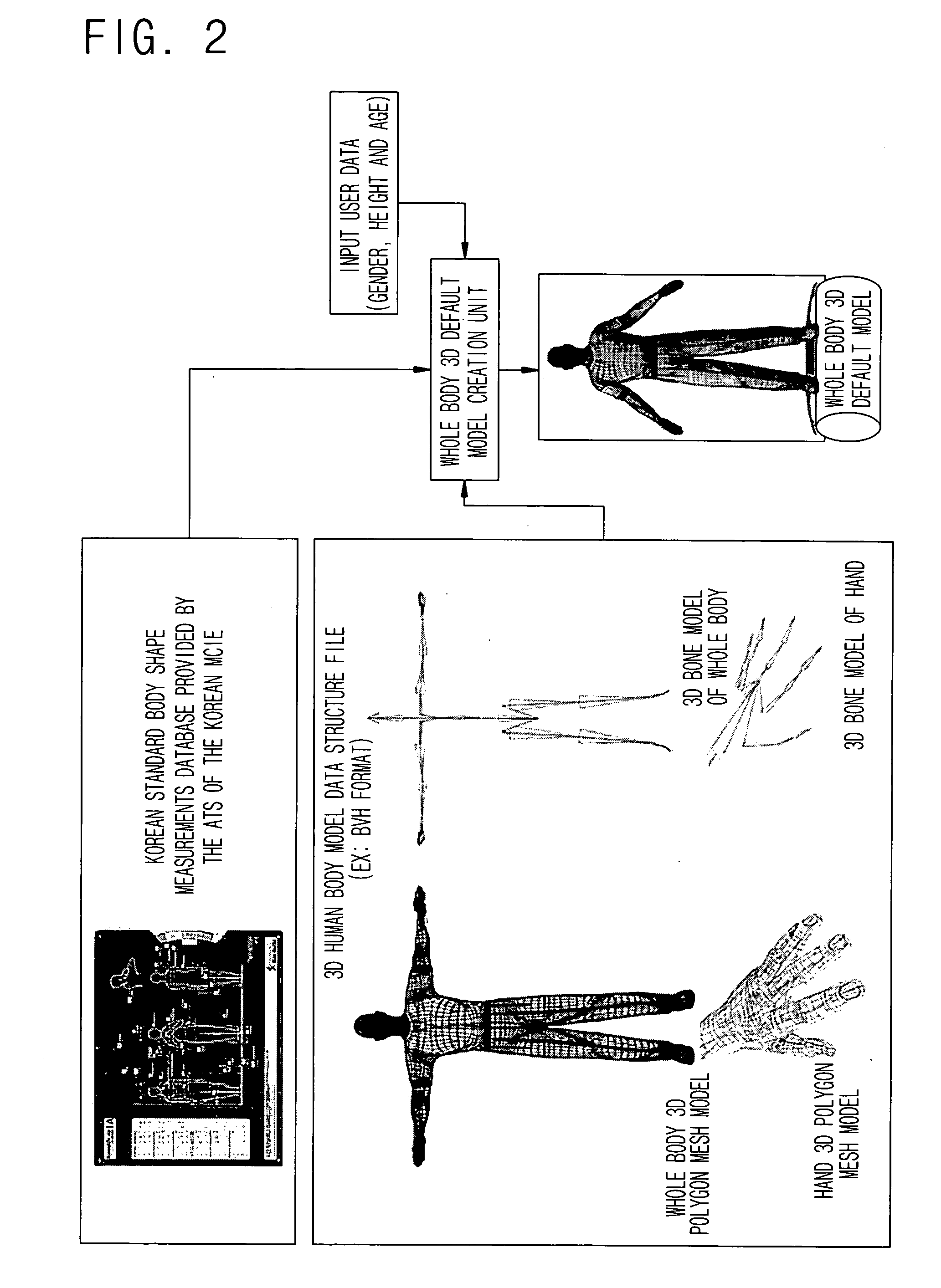 Apparatus and method for immediately creating and controlling virtual reality interactive human body model for user-centric interface