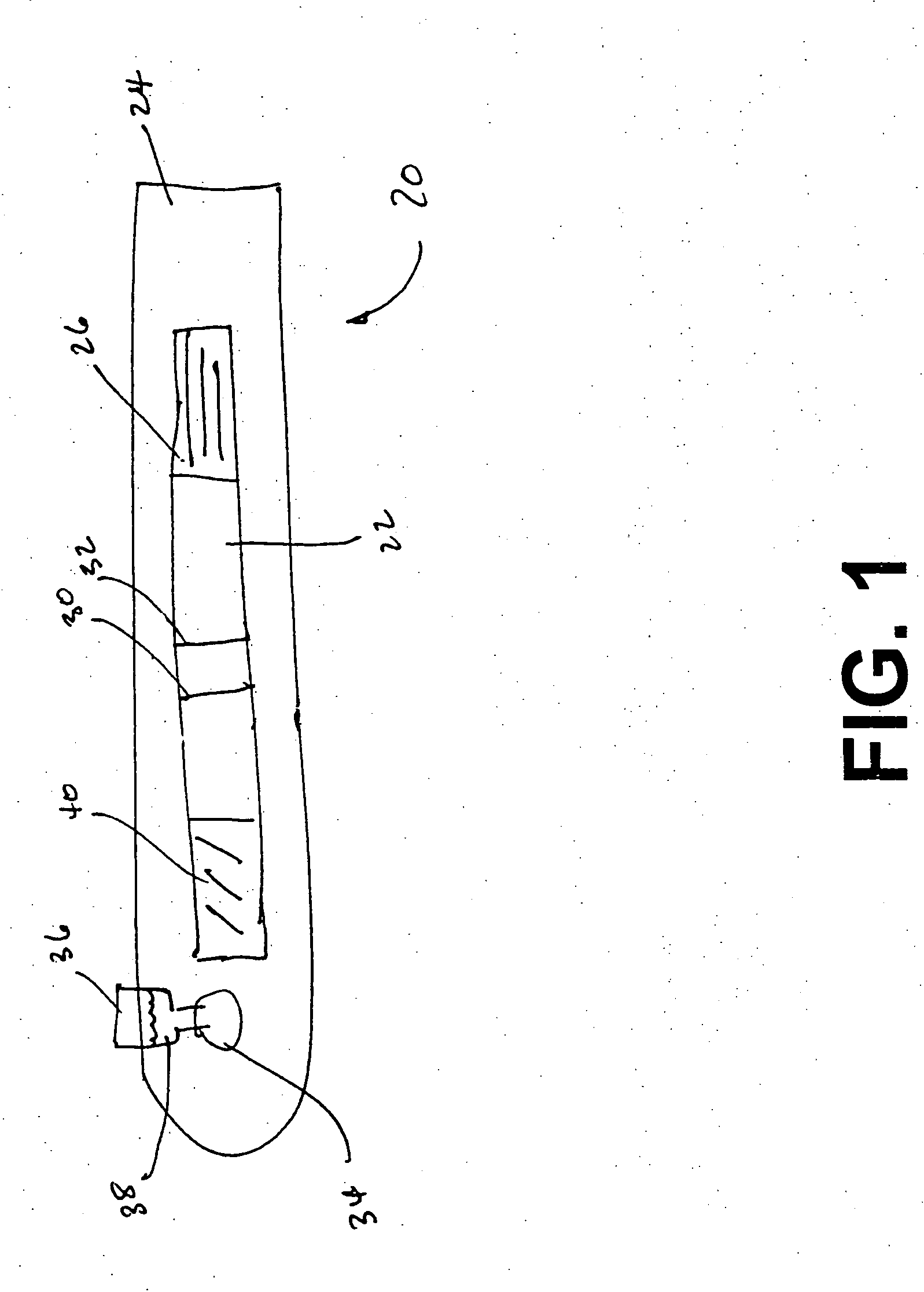 Lateral flow device for the detection of large pathogens
