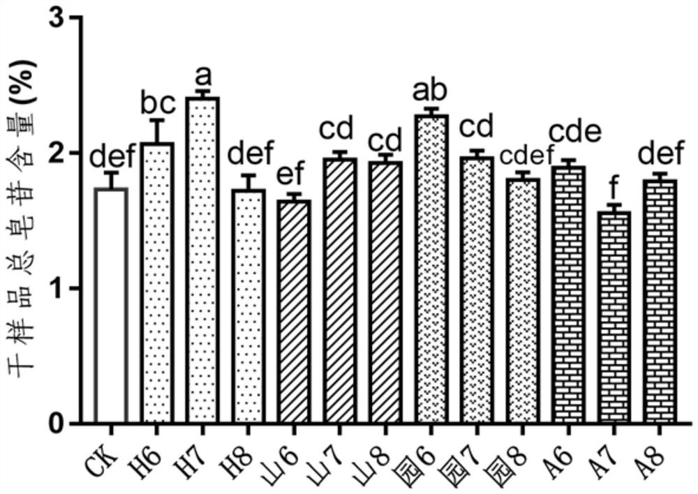 Water culture method of gynostemma pentaphylla