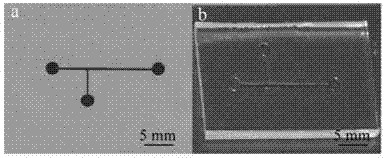 Manufacture method of detection electrode of micro-fluidic chip and preparation of electrophoresis non-contact type conductivity detection system