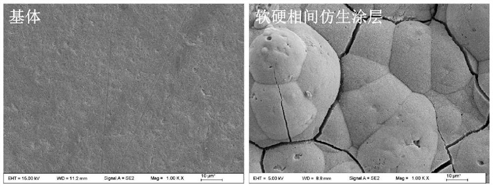 Method for preparing soft and hard alternate bionic coating on surface of medical titanium alloy by utilizing composite treatment of micro-arc oxidation and laser nitridation