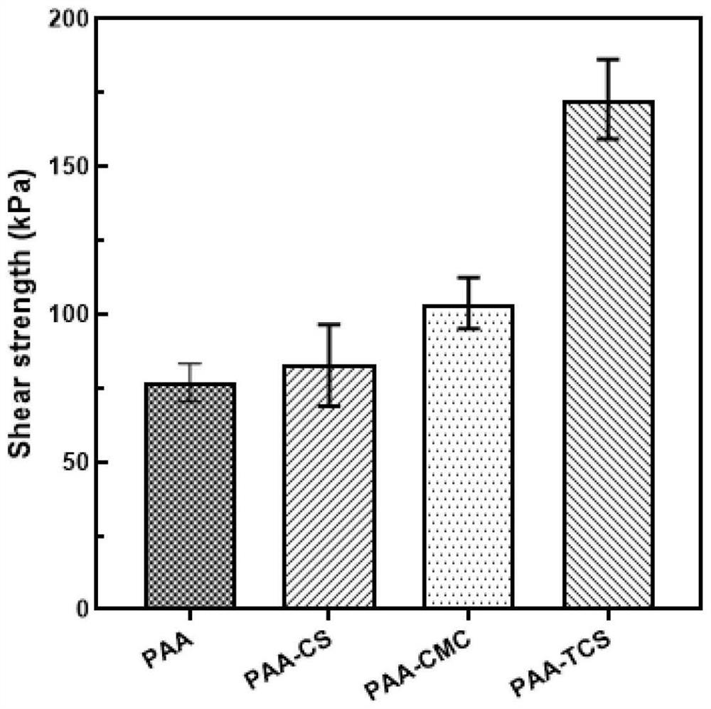 Chitosan-based biological tissue adhesive and its preparation method and application