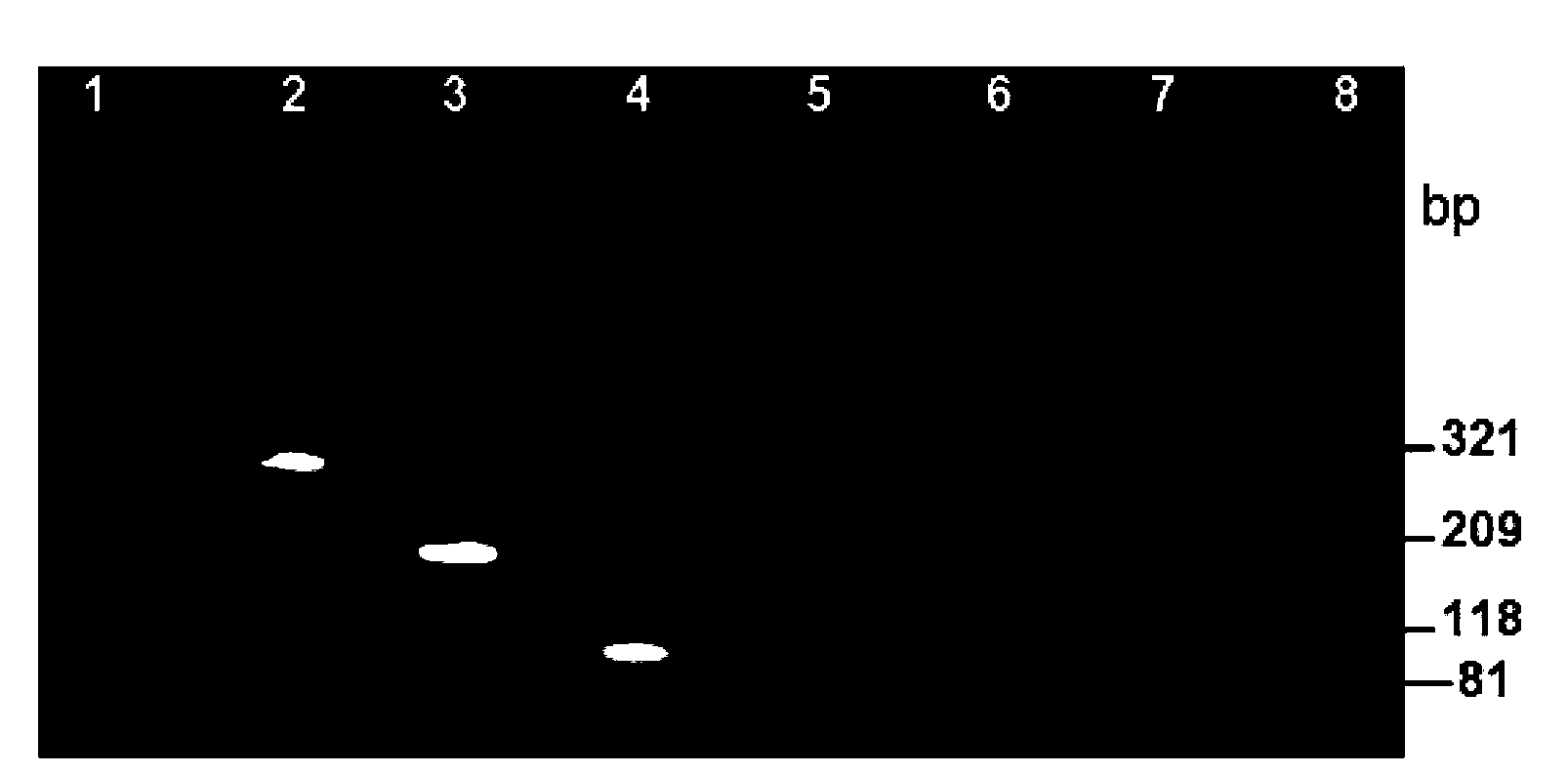 Method and kit for synchronously detecting four viruses inducing tomato yellow leaf curl disease