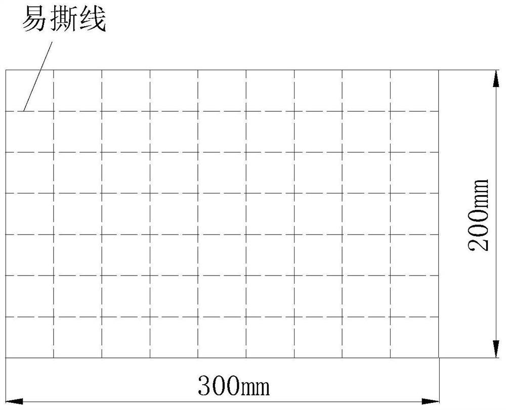 Medicinal patch for treating fruit tree canker and healing cut and preparation method of medicinal patch