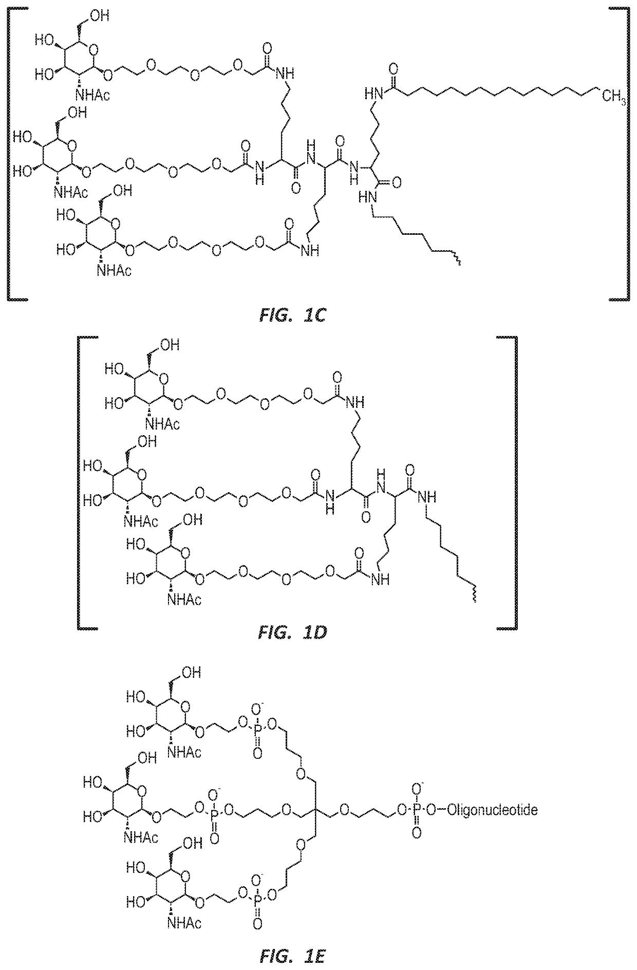 NUCLEIC ACID MOLECULE FOR REDUCTION OF PAPD5 AND PAPD7 mRNA FOR TREATING HEPATITIS B INFECTION