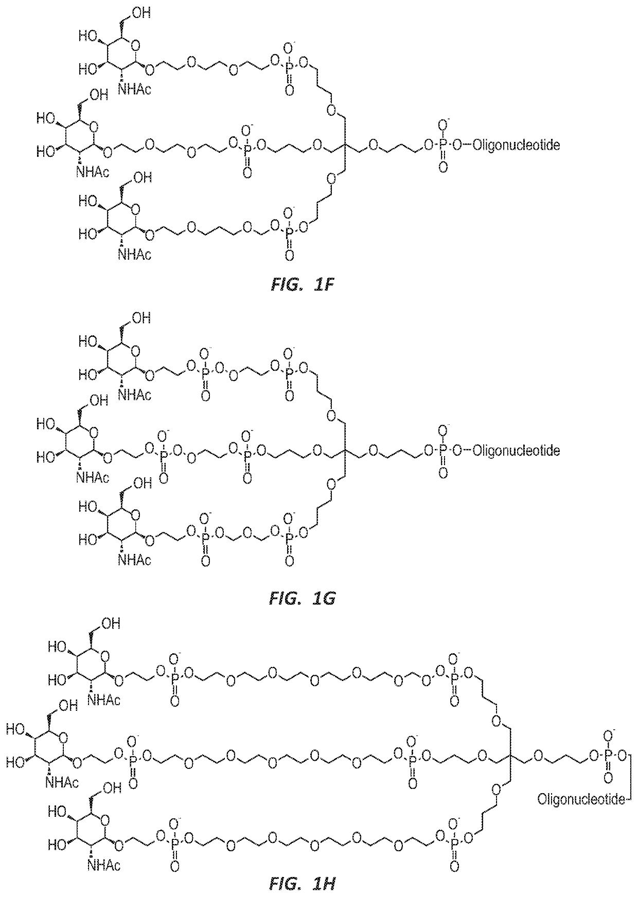 NUCLEIC ACID MOLECULE FOR REDUCTION OF PAPD5 AND PAPD7 mRNA FOR TREATING HEPATITIS B INFECTION