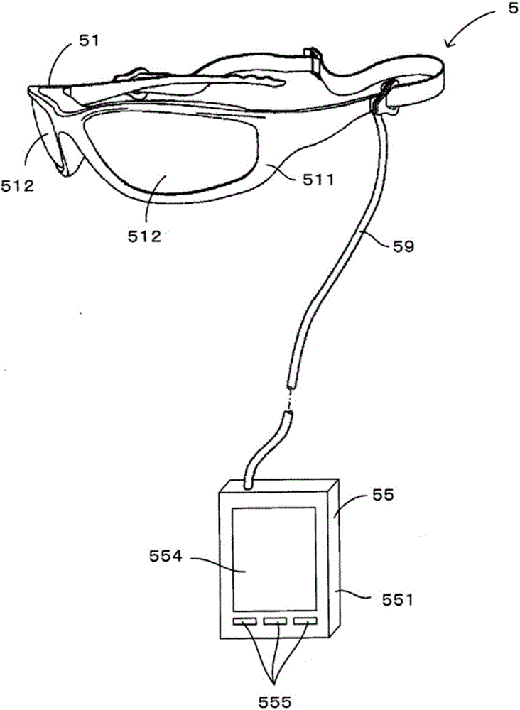 Portable display device, display system and display method