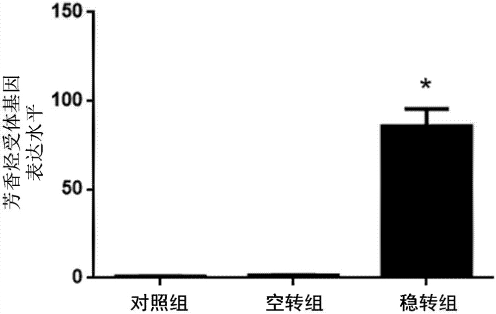 Monoclonal cell as well as preparation method and application thereof