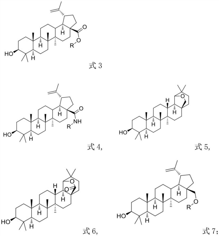 Betulinol derivative and hydrophilic modification product thereof, nano solution and preparation method of nano solution