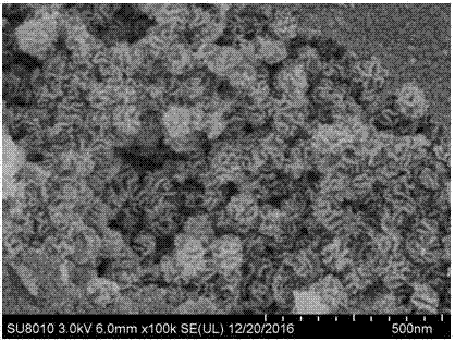 Method for preparing high-specific surface area tin dioxide catalyst by using mesoporous silicon dioxide as hard template