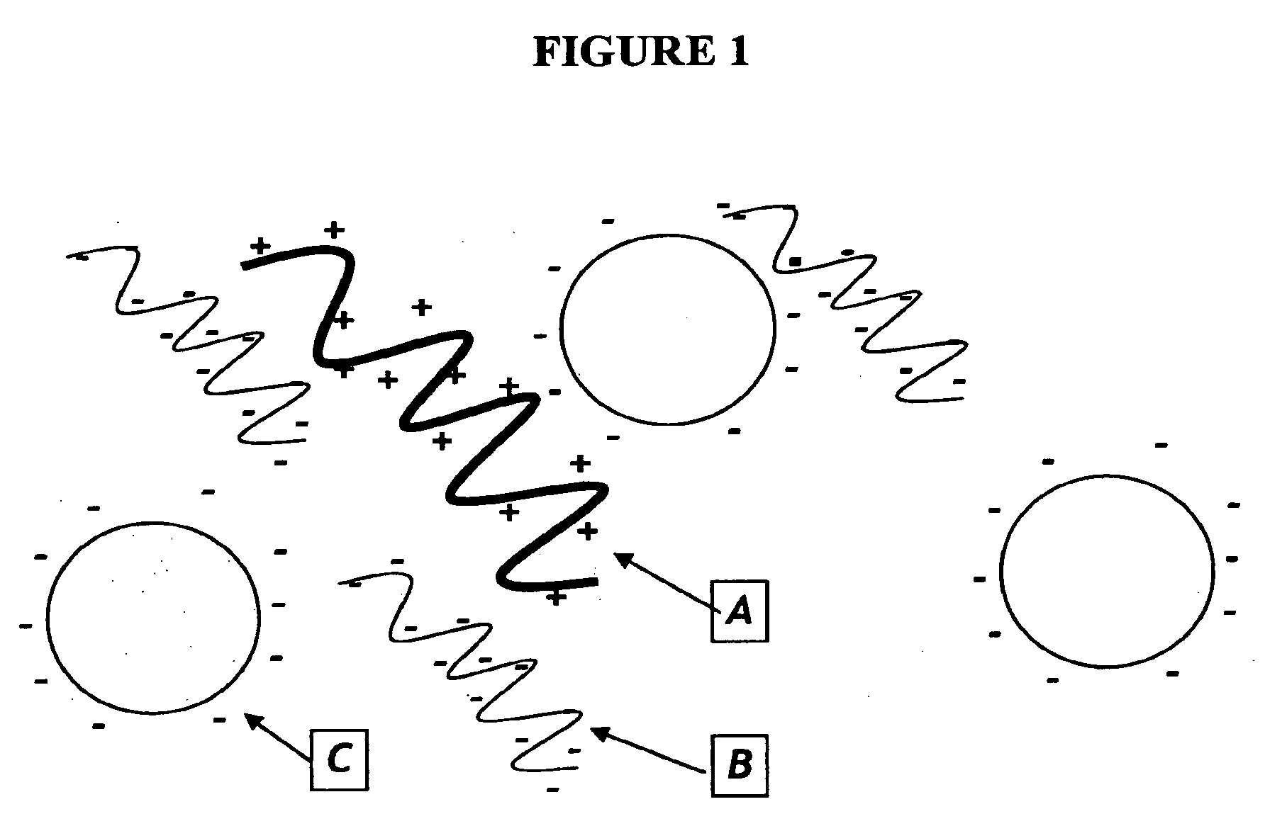 Nucleic acid separation and purification method based on reversible charge interactions