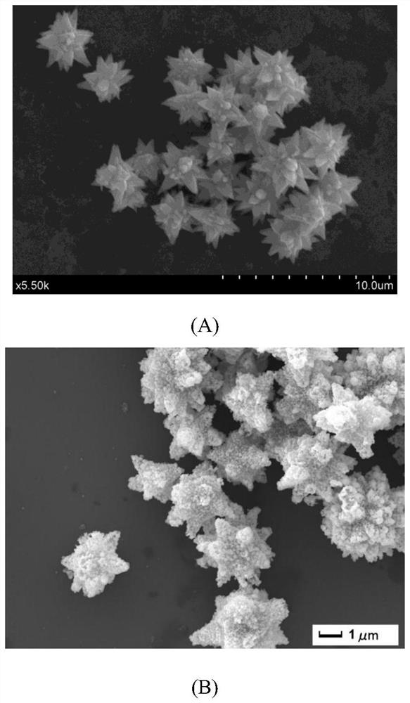 A kind of preparation method and application of silver-zinc oxide composite nanoparticles