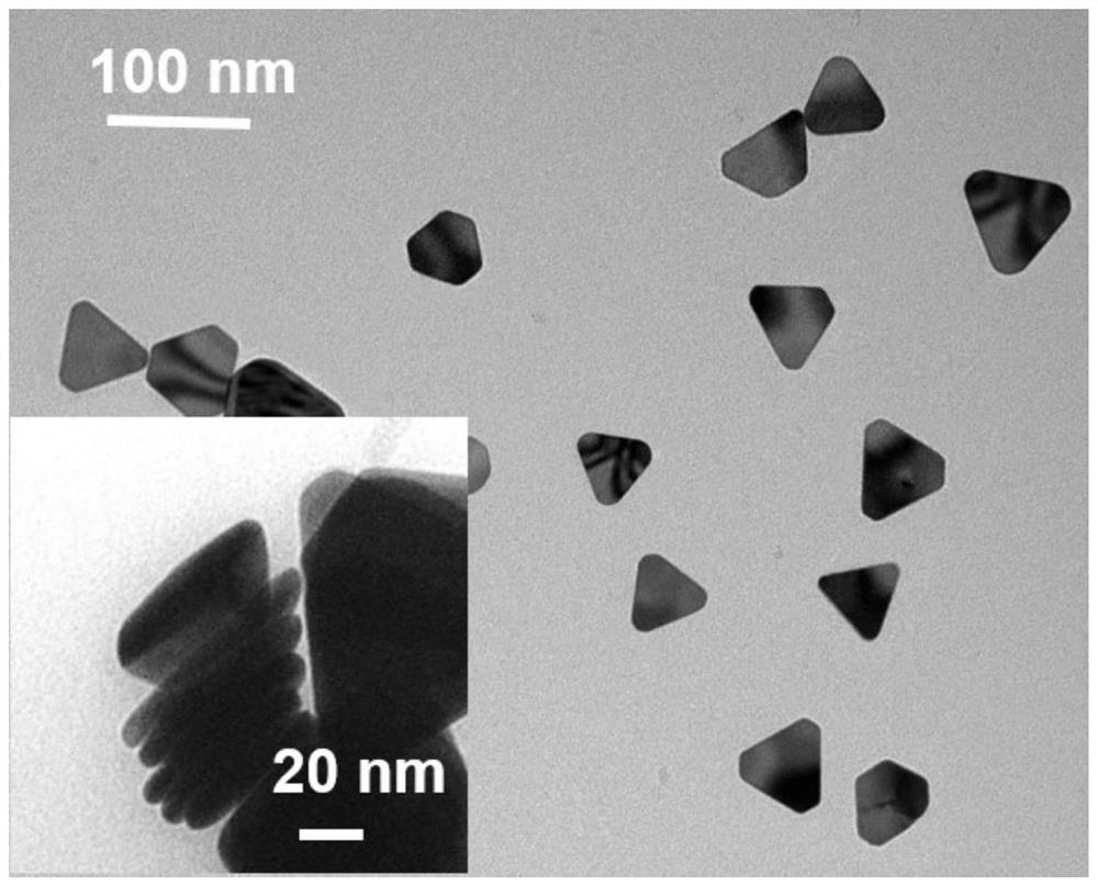 A kind of preparation method of triangular silver nanosheet