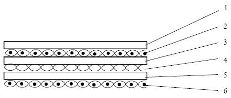 TPU light conveyor belt for printing and dyeing industry and manufacturing method thereof