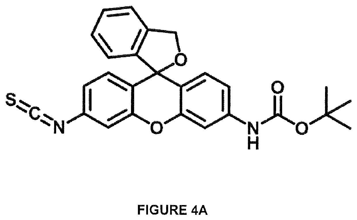 Protein sequencing methods and reagents