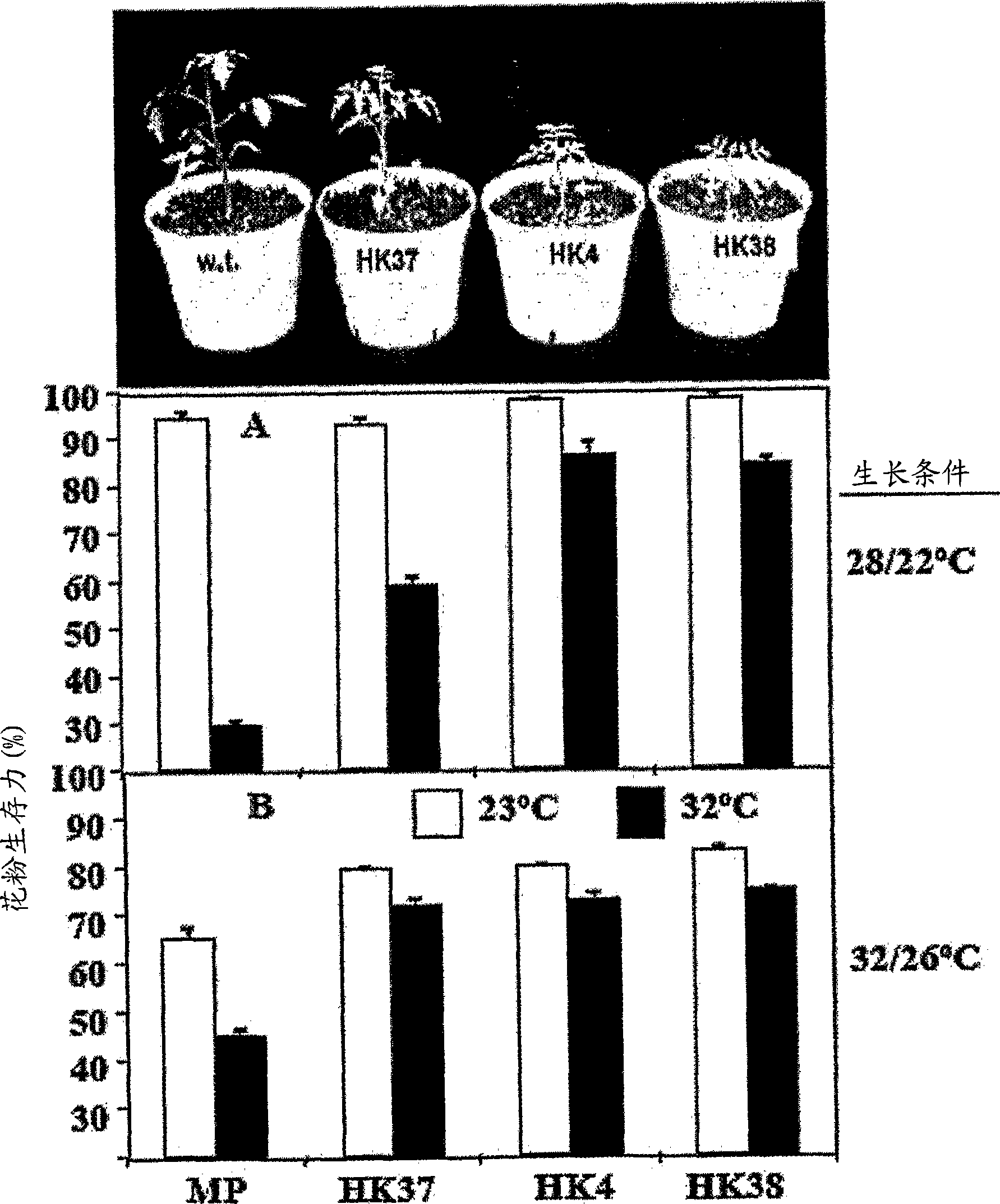 Plant gene promoter and its use