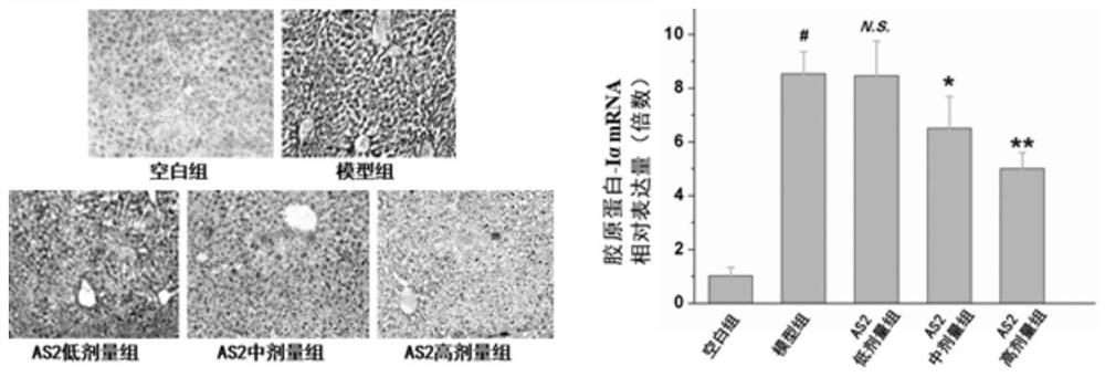 Application of Arenaria kansuensis Maxim