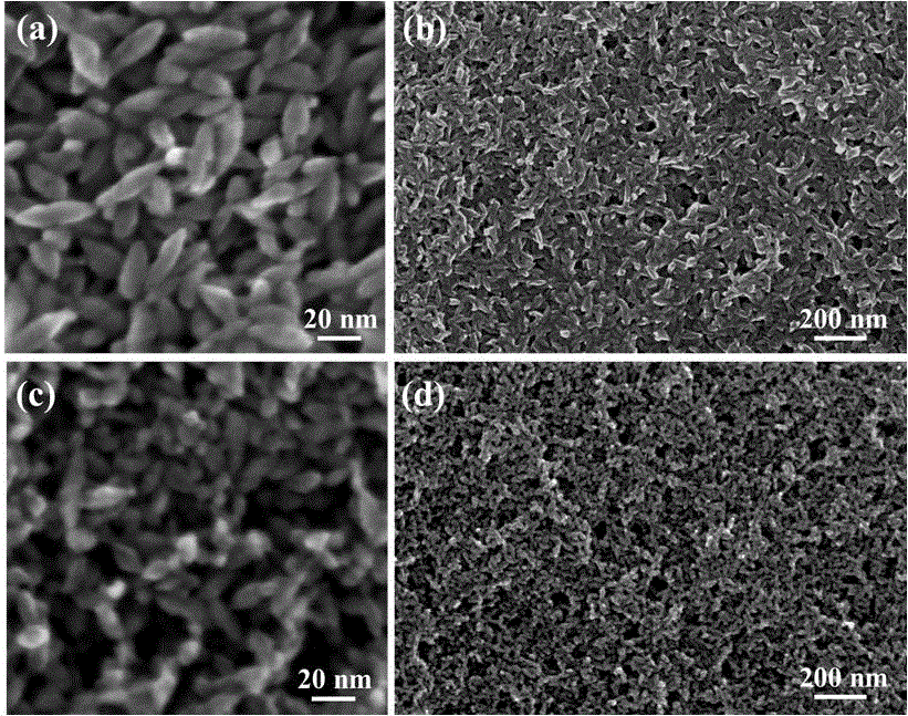 Preparation method for {100} crystal plane anatase TiO2 nano-particles