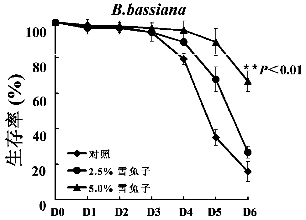 Application of Tibet saussurea laniceps extract to relieving fruit fly intestinal inflammation