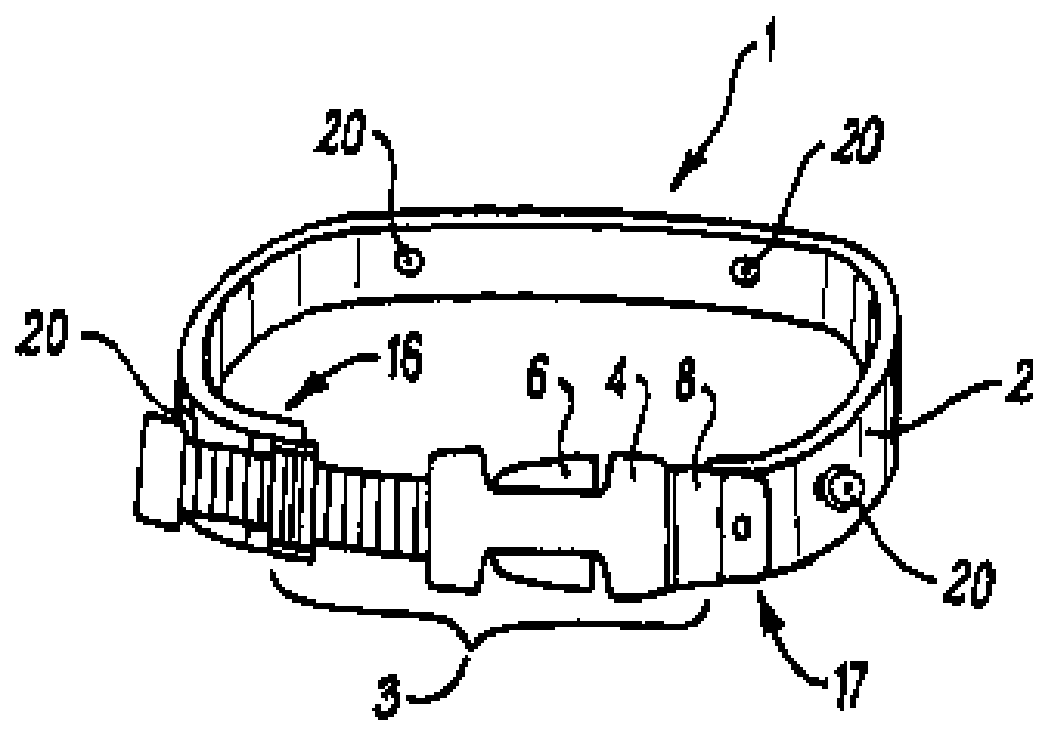 Adjustable buckle and collar