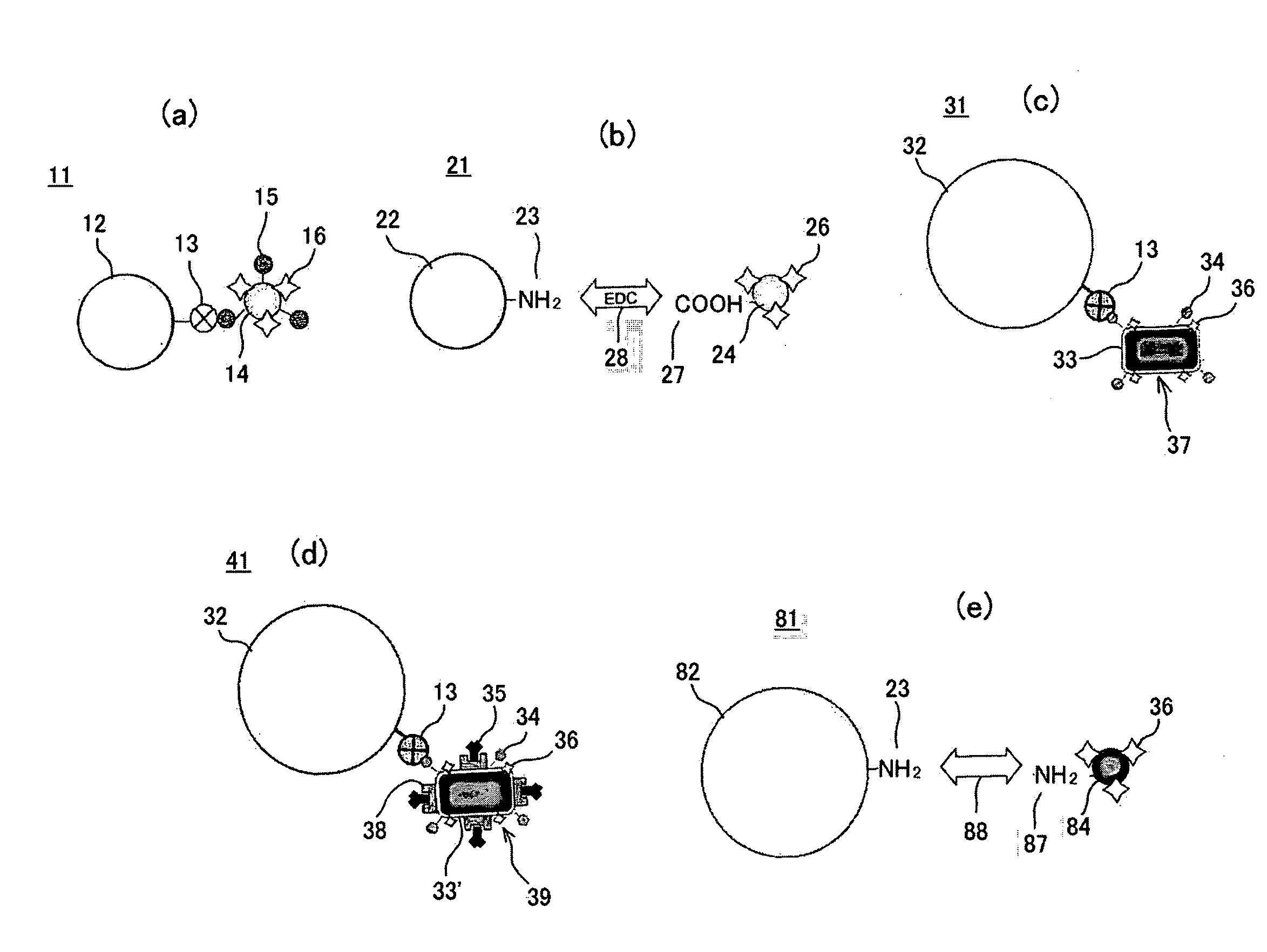 Magnetic particle holding carrier and method for preparing the same