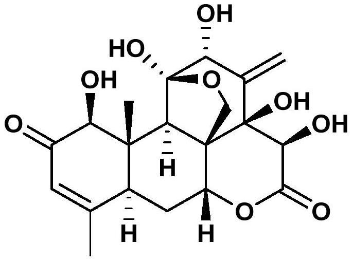 Application of eurycomanone in insect antifeedant activity and inhibition of insect growth and development