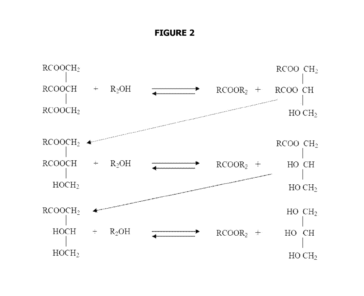 Reaction system for producing fatty alkyl esters using a liquid-film reactor operated countercurrentwise