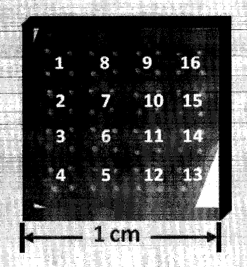 Elastic probe array multi-channel resistance measurement method and device