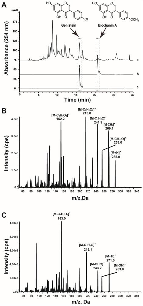 Application of chickpea extract in prevention and treatment of pathogenic bacteria of crops