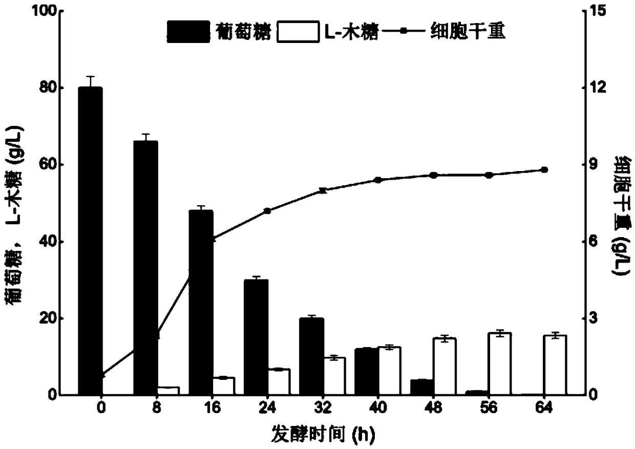 Recombinant proteus pseudomonadaceae for producing L-xylose and application thereof