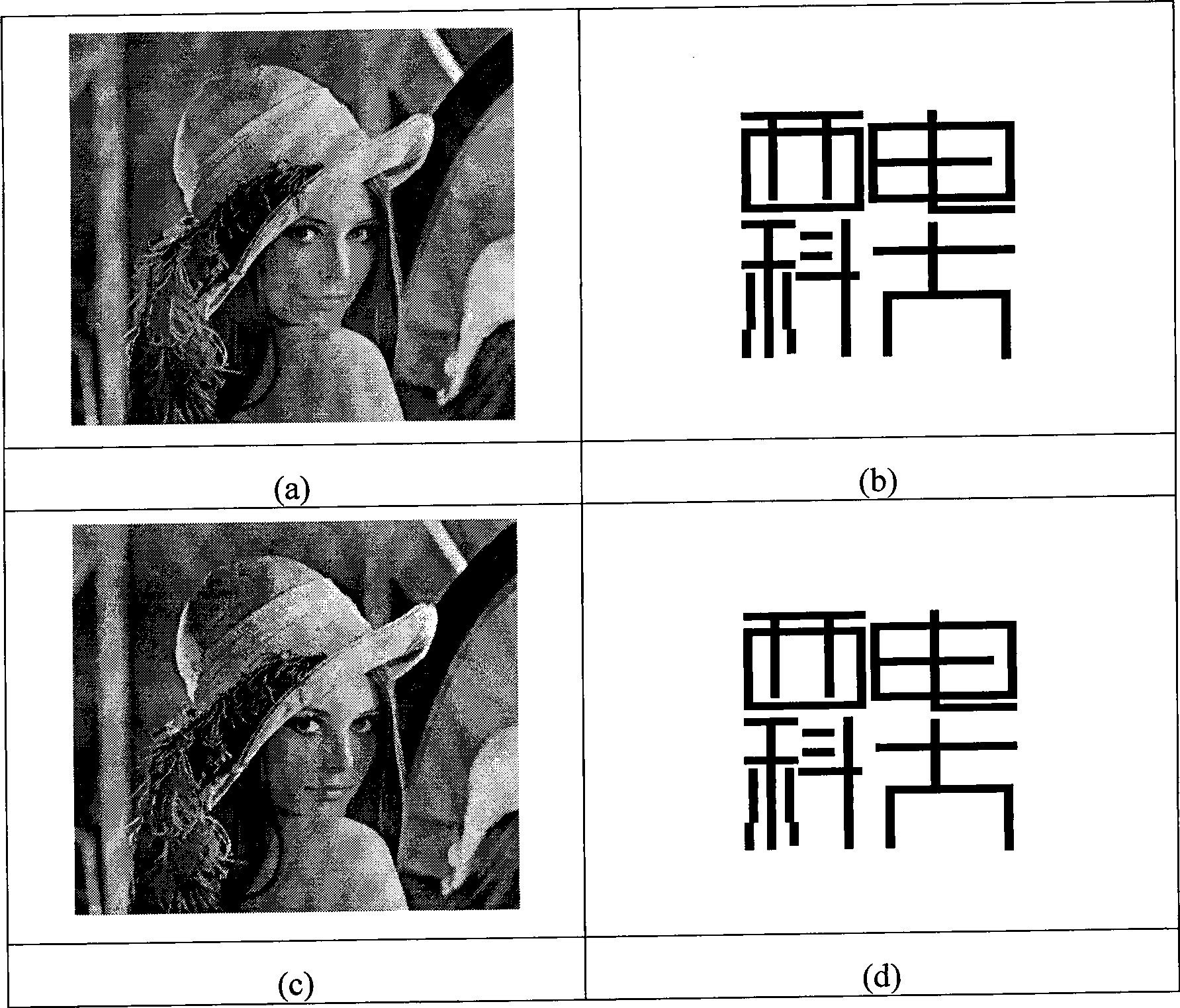 Self-adaptive method for watermarking intensive image texture