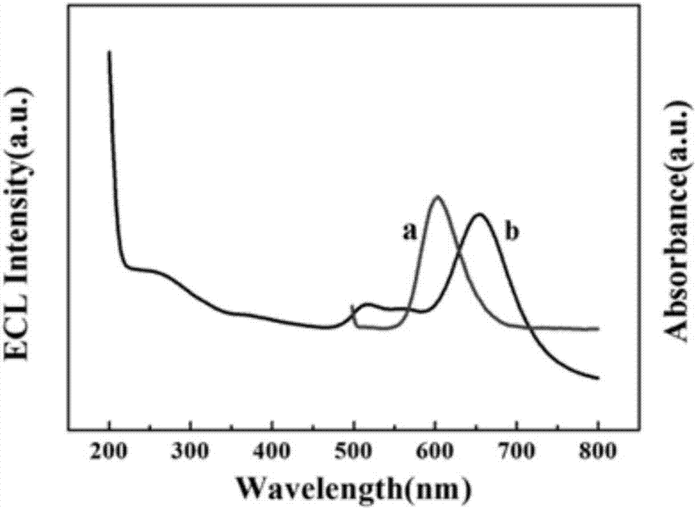 Electrochemiluminescence immunosensor for detecting beta-amyloid protein and construction of electrochemiluminescence immunosensor