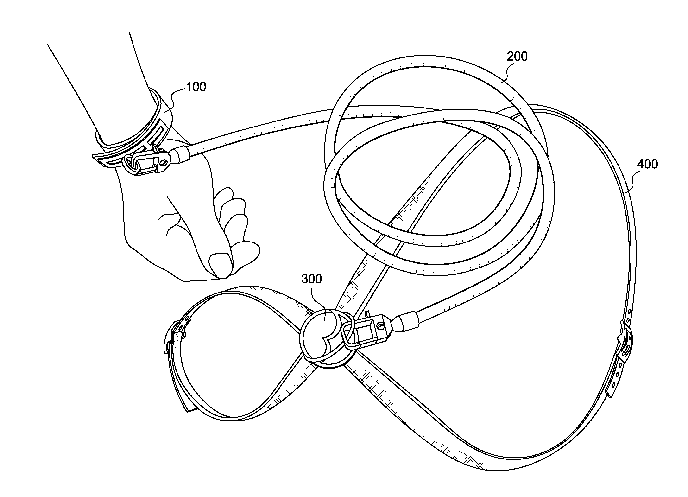 Dog leash system with convertible collar and harness