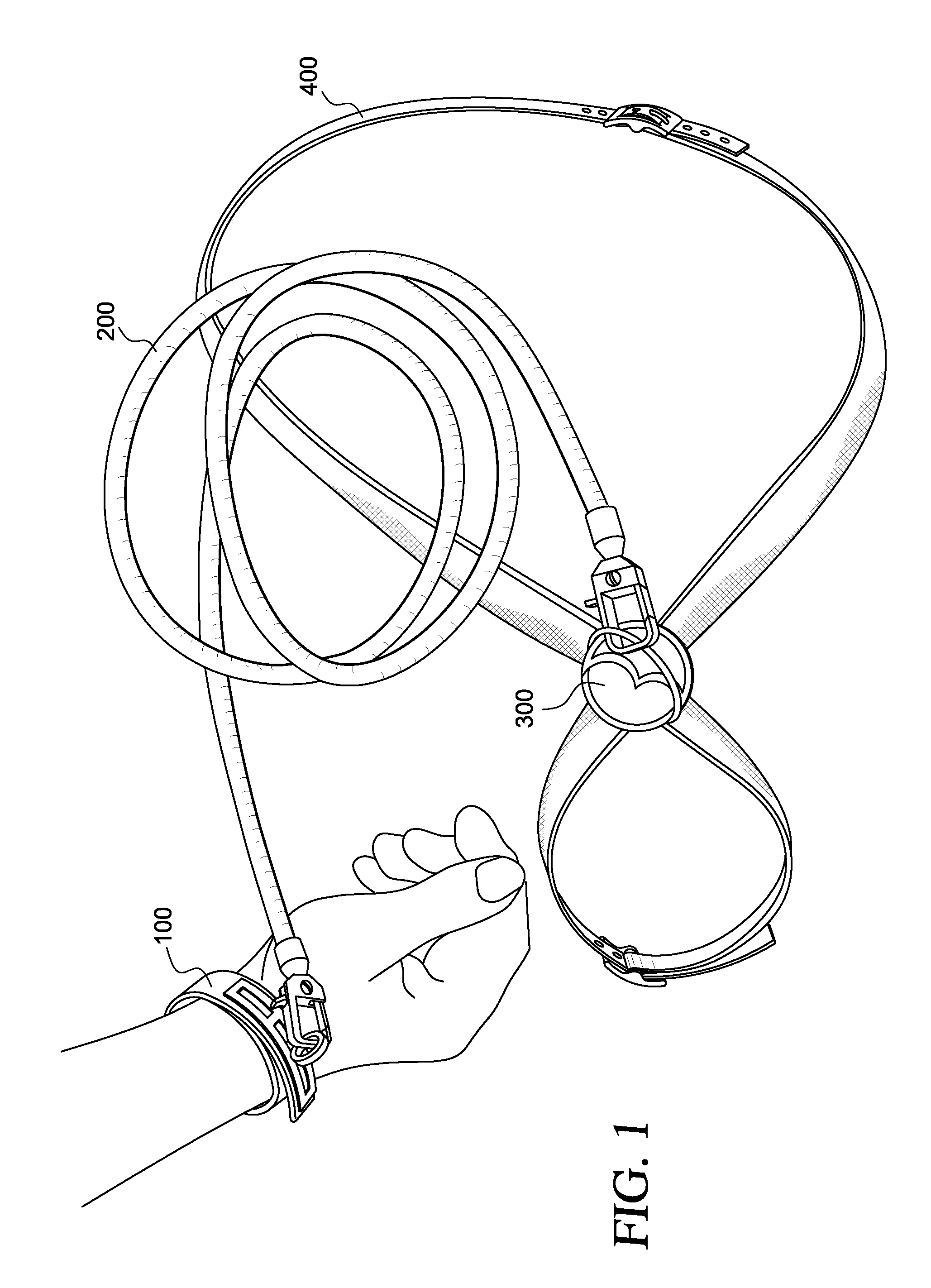 Dog leash system with convertible collar and harness