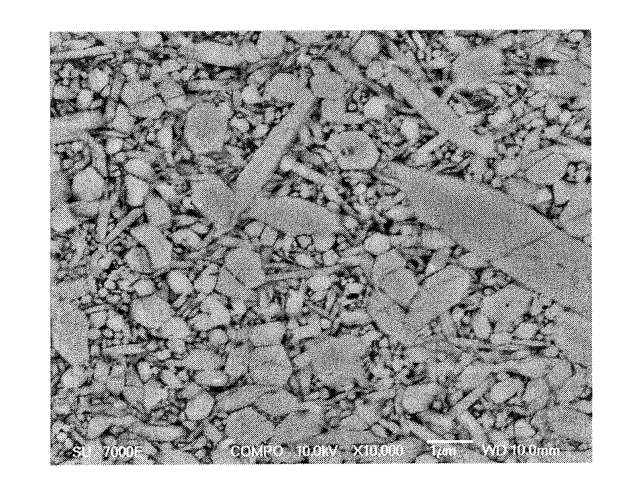 Large ceramic component and method of manufacture