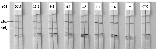 Paper-based detection method for exosome