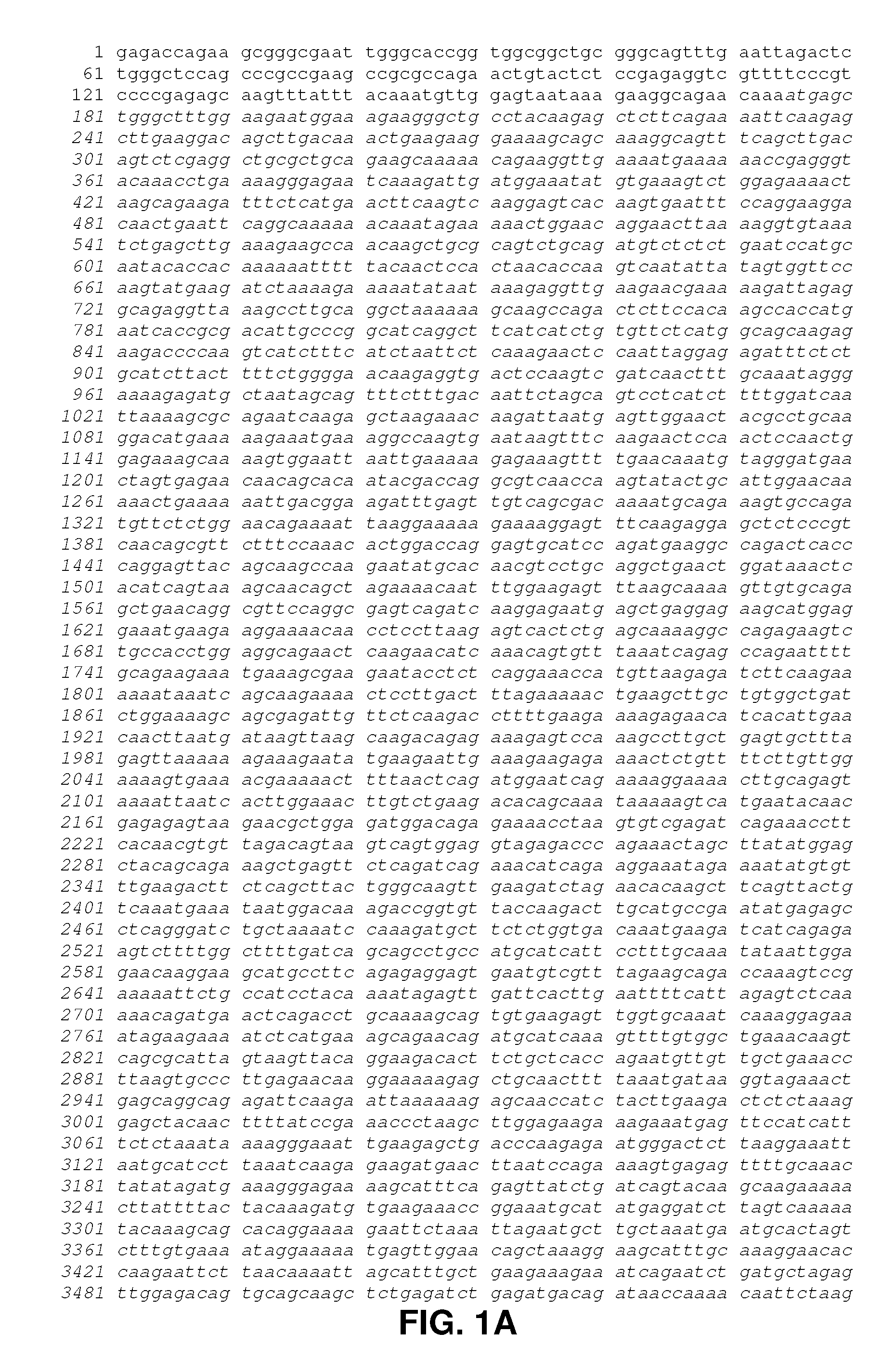 Method for identifying novel minor histocompatibility antigens