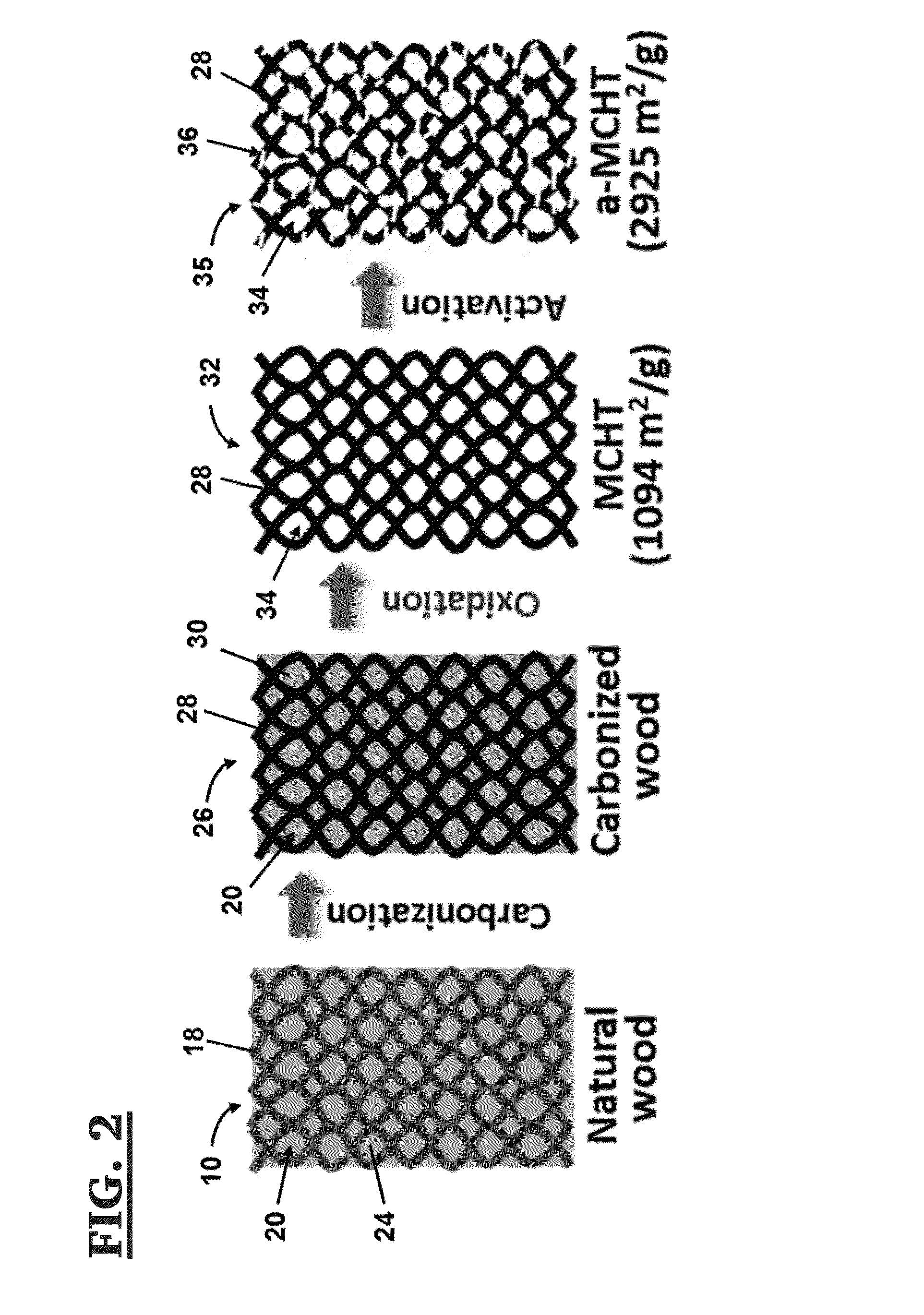 Method of making mesoporous carbon from natural wood and mesoporous carbon hollow tubes made thereby