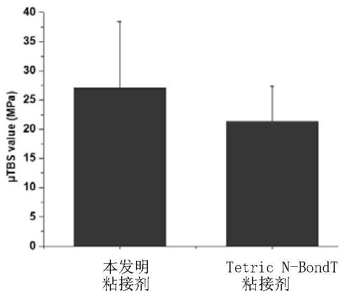 Dental resin adhesive containing unsaturated fatty acid polyphenolamide derivatives
