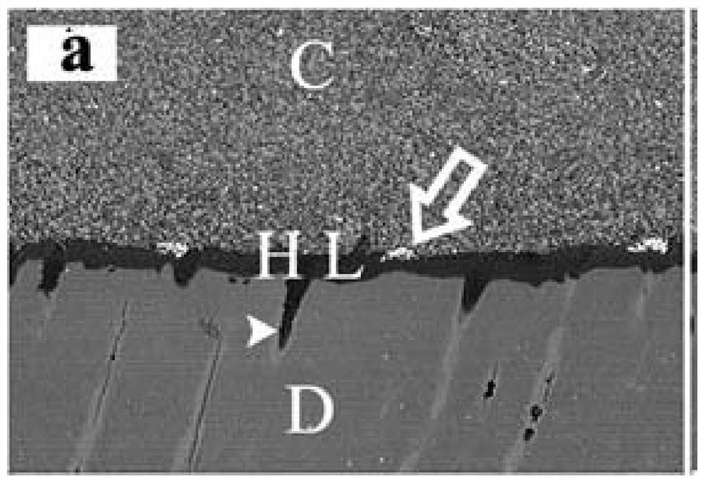 Dental resin adhesive containing unsaturated fatty acid polyphenolamide derivatives