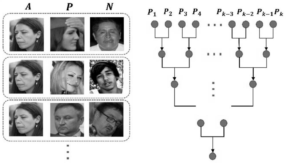 Expression representation model training method, facial expression representation method and corresponding devices