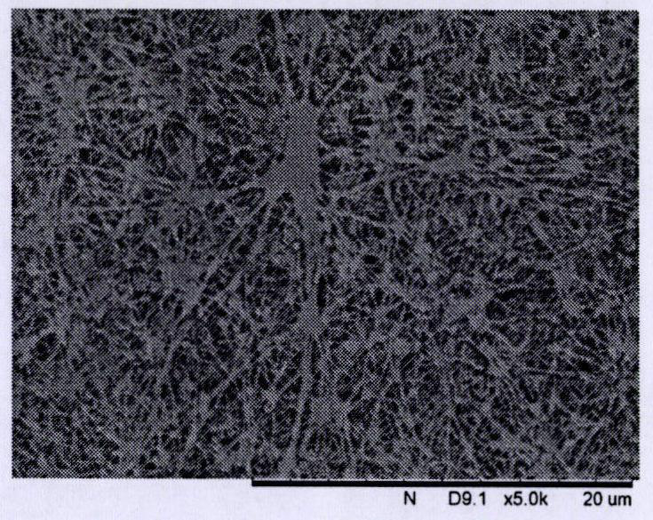 A kind of forward osmosis composite membrane based on macroporous base membrane and preparation method thereof