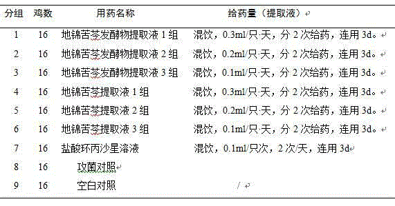 Fermentation traditional Chinese medicine composition containing humifuse euphorbia herb, radix sophorae flavescentis and radix scutellariae and preparation method thereof