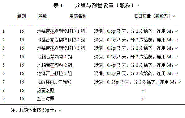 Fermentation traditional Chinese medicine composition containing humifuse euphorbia herb, radix sophorae flavescentis and radix scutellariae and preparation method thereof