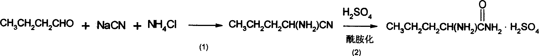 Synthesis method of chiral norvaline
