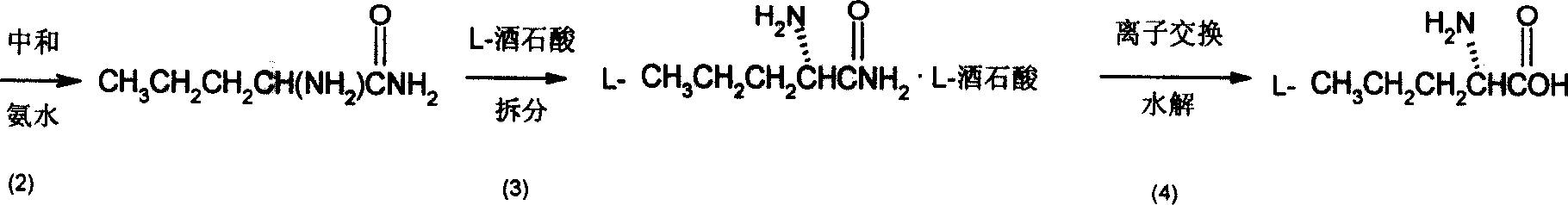 Synthesis method of chiral norvaline