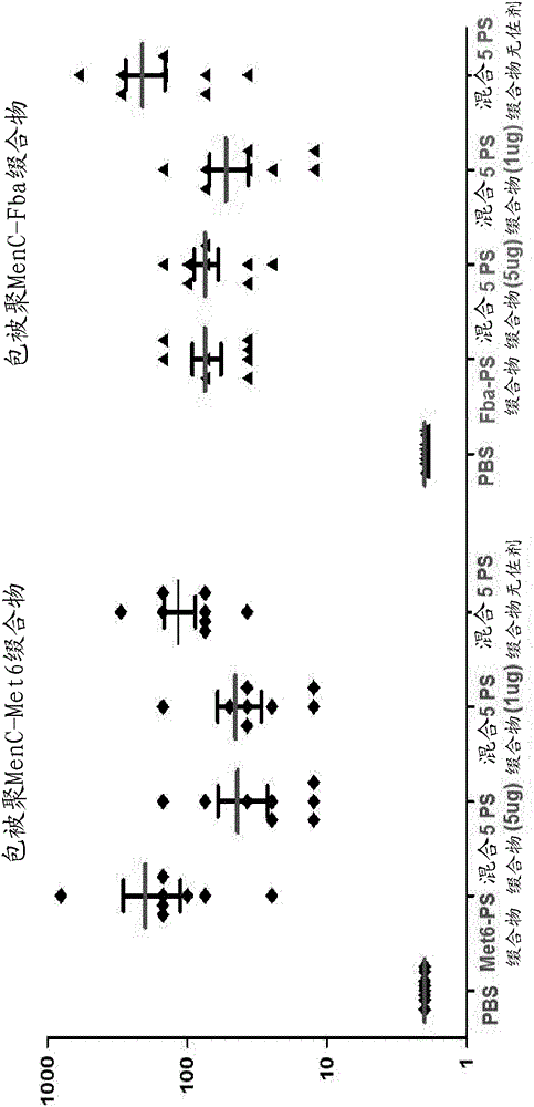 Nonlinear saccharide conjugates