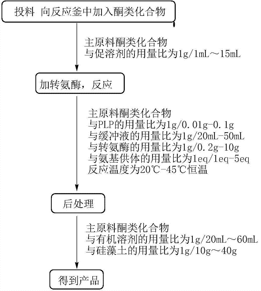 R-type omega-aminotransferase and application thereof