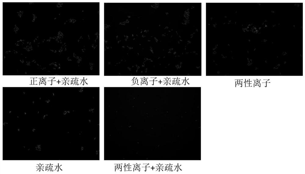 A kind of polyurethane and its preparation method and application