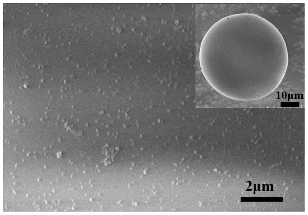 A kind of preparation method of metal-nonmetal hollow janus particle